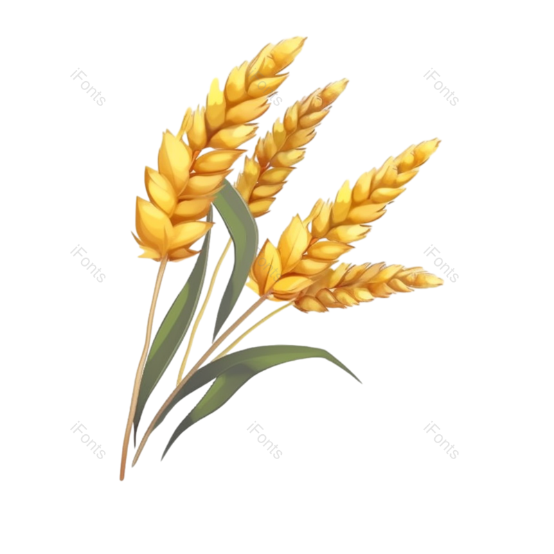 芒种图片,小满元素,麦子PNG,丰收免抠素材